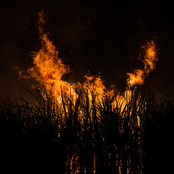 Major Lawsuit Filed Against One of Florida’s Largest Sugar Producers For Greenwashing and Harmful Farming Practices