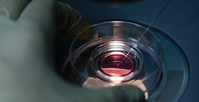 CooperSurgical’s recalled embryo media