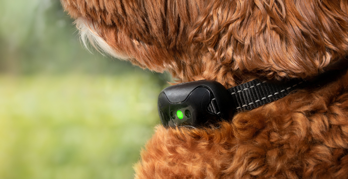 Punitive Training Collars False Advertising