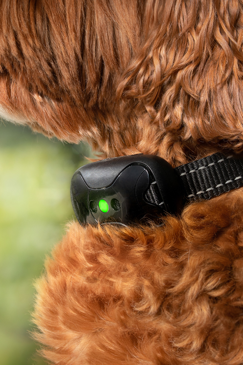 Punitive Training Collars False Advertising