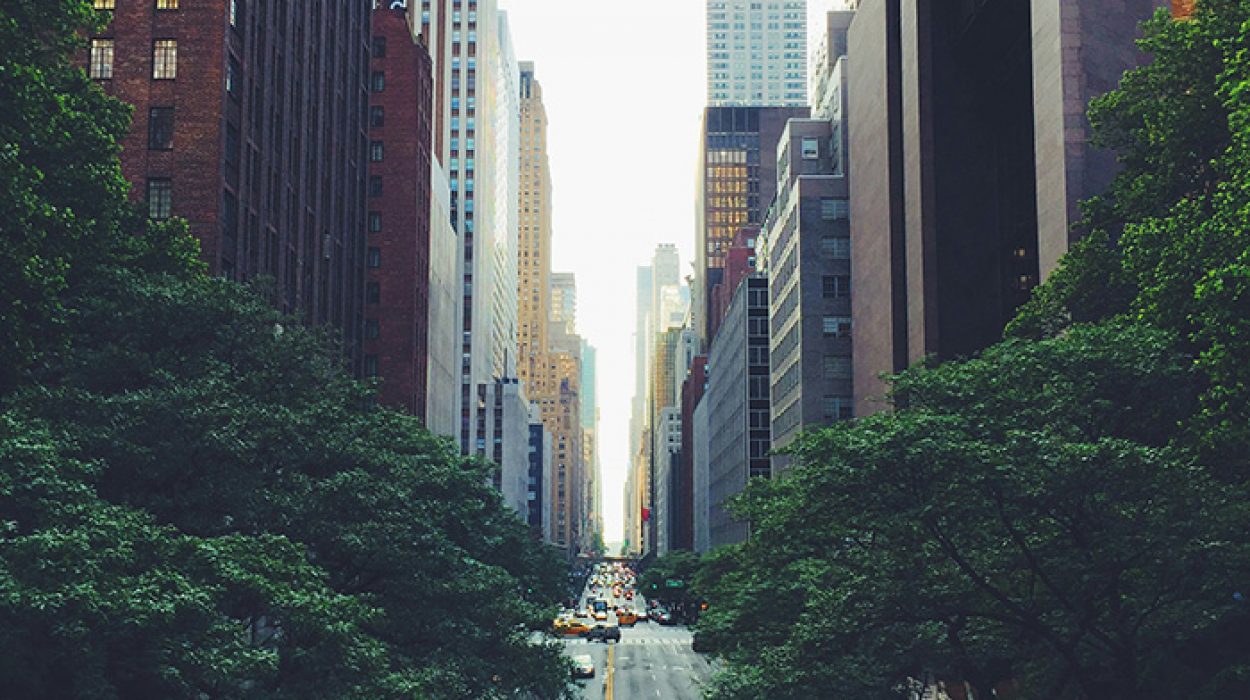 Clarkson Welcomes Darren Kaplan to Lead Firm’s New York Team